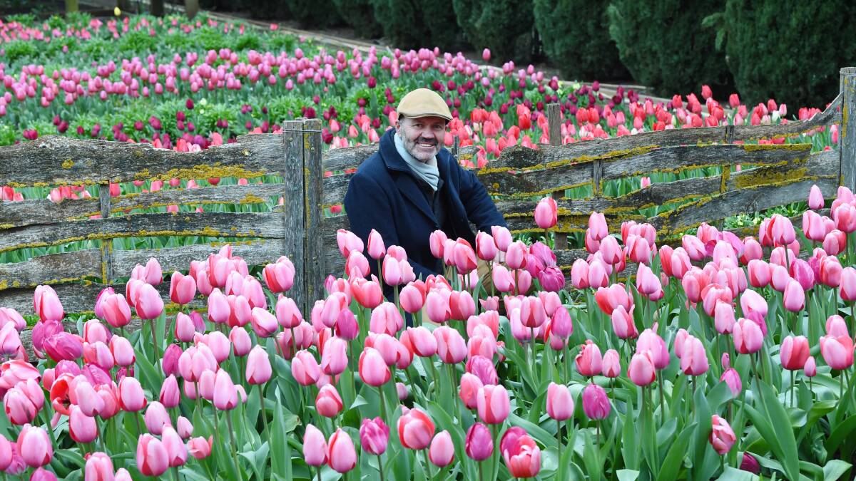 Patrick Hockey among the tulips in bloom at Lambley Gardens and Nursery in September 2022. Picture by Kate Healy