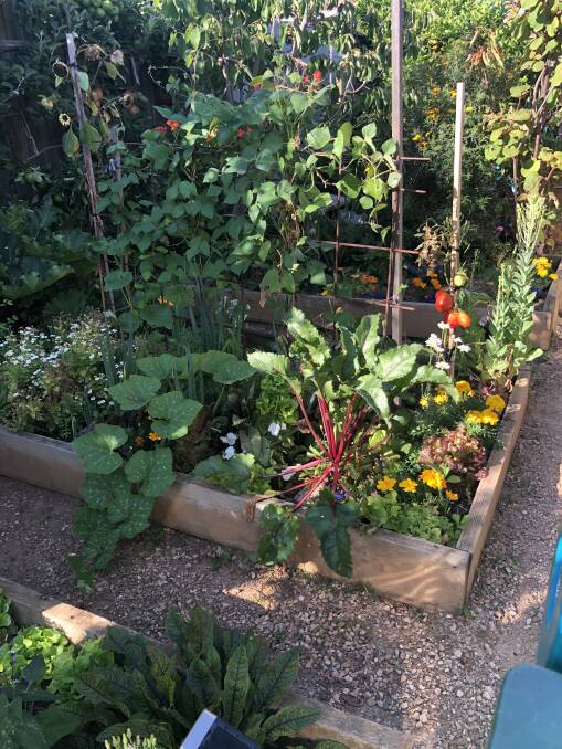 ACHIEVEABLE: Craig Castree is passionate about finding practical, easy and affordable solutions to help people start their edible garden.