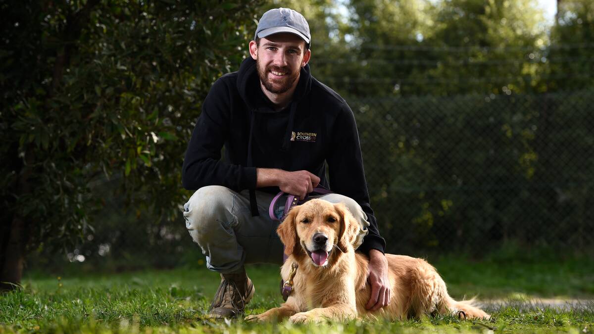 SOCIALISING: Southern Cross K9 trainer Jamie Huggett says dog training classes are in demand. Picture: Adam Trafford
