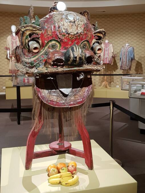 COLLECTION: The Sovereign Hill Museums Association was awarded a community heritage grant to fund the conservation treatment of a Chinese processional lion.