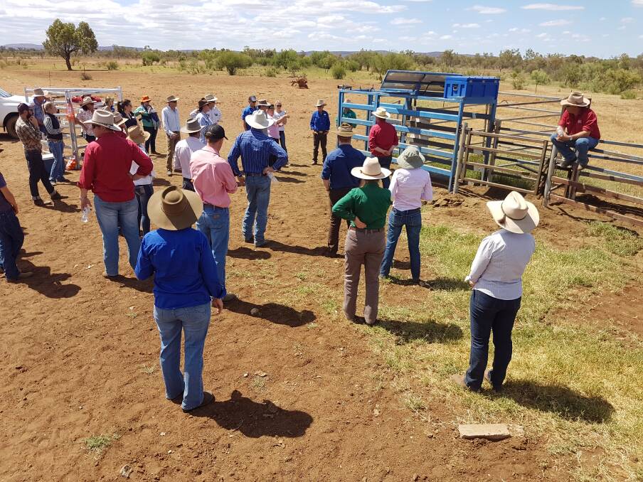 
Using satellite technology, Precision Pastoral, a pioneering agricultural technology start-up operating in Alice Springs, developed a program that allows pastoralists to integrate animal and pasture data. Photo Precision Pastoral
