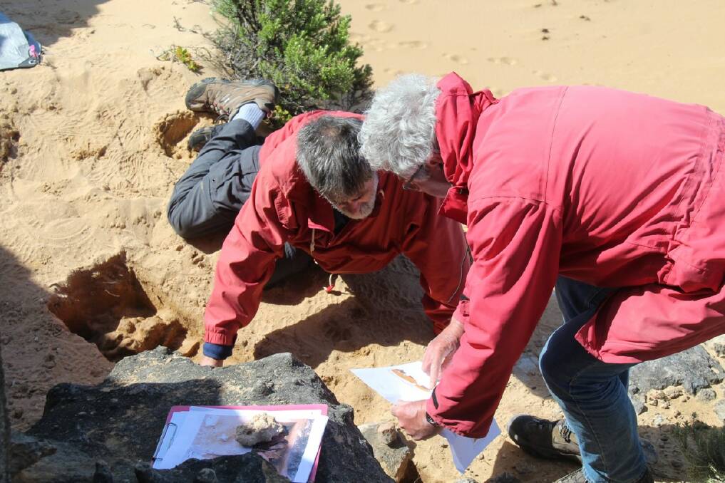 Boston University Professor Paul Goldberg and Monash University Professor Ian McNiven inspecting a possible hearth at Moyjil, Warrnambool in 2019.