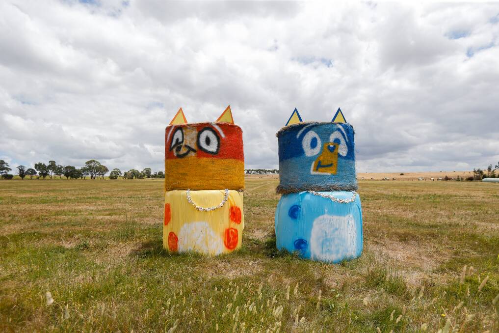 Creative: 'Bingo and Bluey' hay bale art in Camperdown as part of the 38-stop Aussie Hay Bale Trail. Picture: Anthony Brady