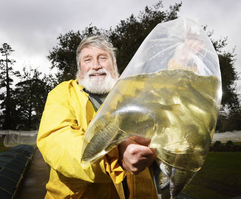 IN THE SWIM: Frank Gray, of the Ballarat Fish Hatchery, hopes a water cooling tower will stop their fish from frying after the hottest stretch the hatchery has seen in 15 years. Picture: Luka Kauzlaric