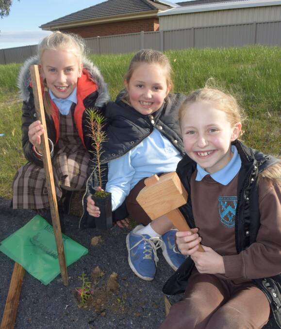 TIME TO GROW: St Thomas More school pupils Lara Pierce, 8, Charlize Lonergan, 9, and Anja Dodd, 9, plant trees. Picture: Olivia Shying 