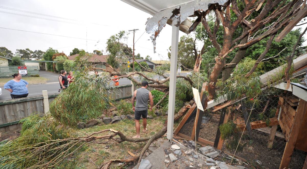 DESTROYED: Aiden Broughton assesses damage caused by a fallen tree in Delacombe. Picture: Lachlan Bence 