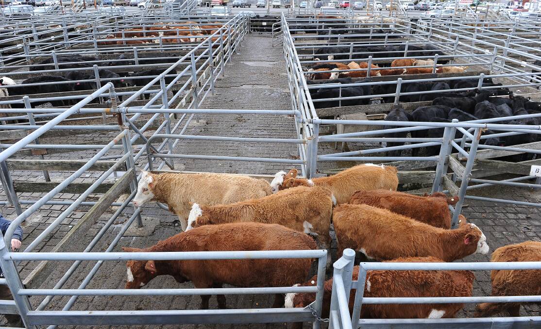 VITAL: Producers describe having saleyards in the region as non-negotiable. Picture: Justin Whitelock