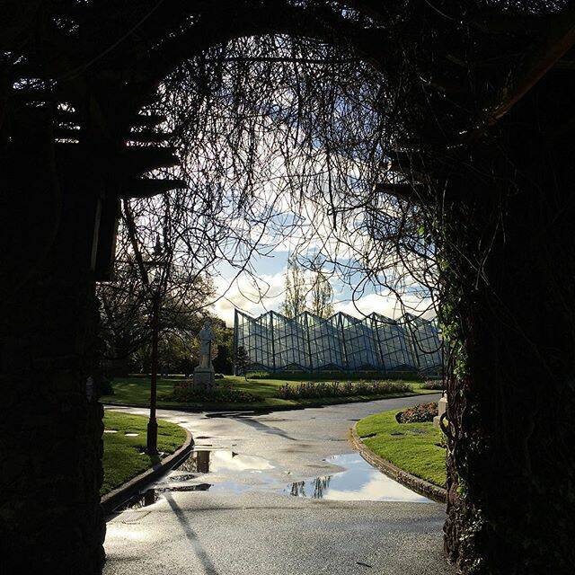 Photo of the day: Simply upload your photo each day with the hashtag #ballarat to be in the running for your photo to appear. Today's #picoftheday is by @bernadettesalt – Entering the Ballarat Botanical Gardens just as it stops raining and the sun shines brightly ever so briefly. Reminds me of European spring weather. 
