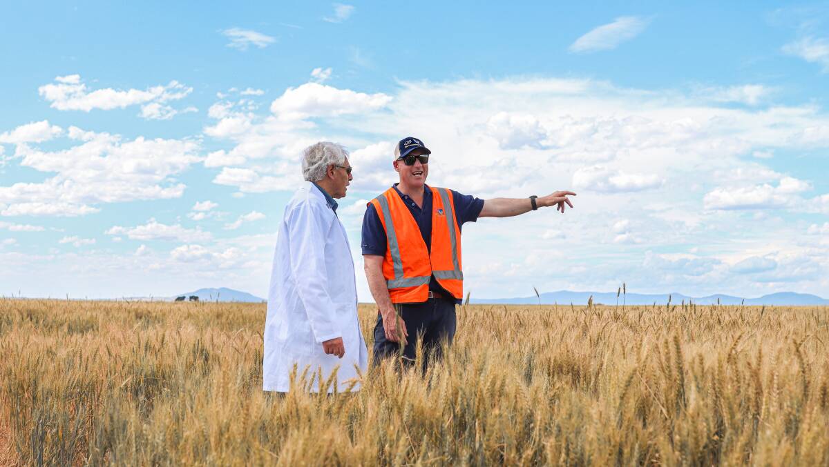 GROWING: CHS Broadbent chief operating officer Michael Broadbent shows FECRI's George Kannourakis about fields near the company's Lake Bolac storage facility. Picture: courtesy of Fiona Elsey Cancer Research Institute