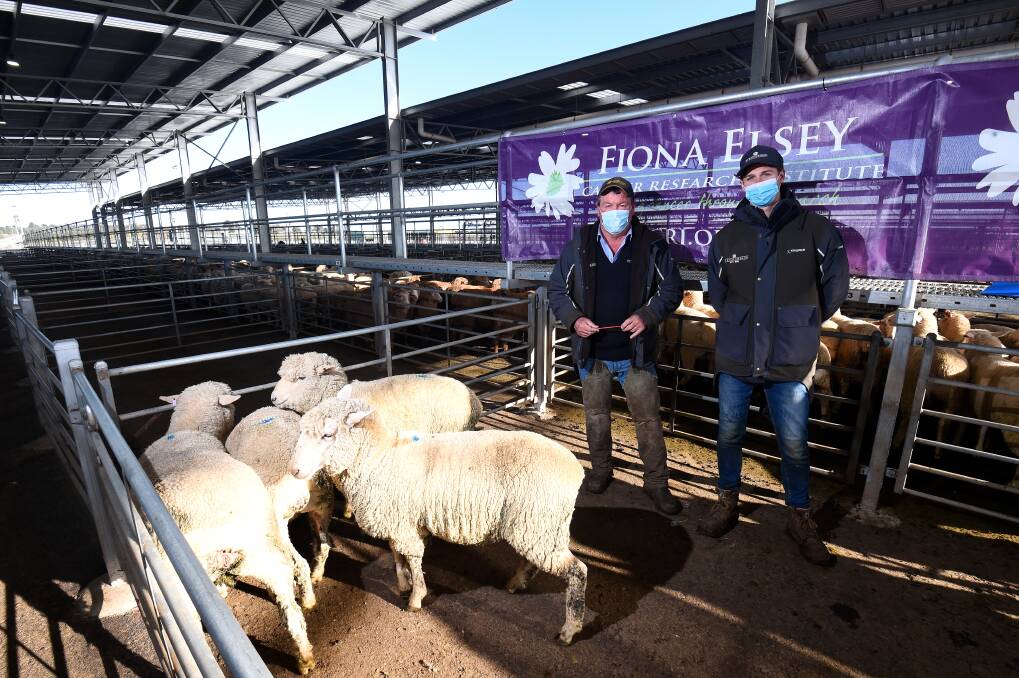 MARKET OFFER: HF Richardson stock agents Bernie Nevins and Mitchell McGrath in the pens with lambs before auction. Picture: Adam Trafford