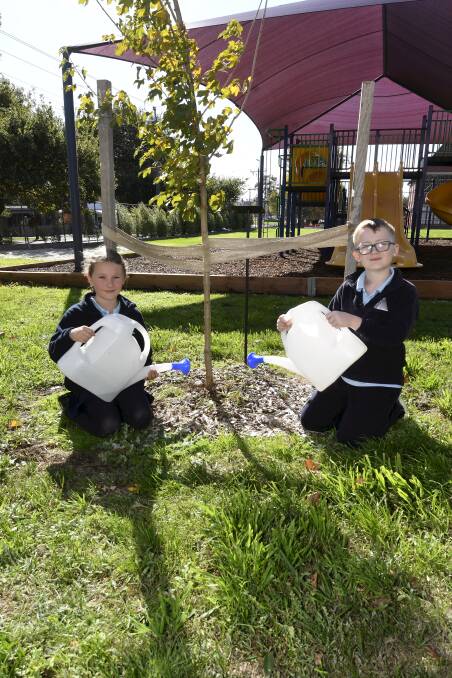 Macarthur Street Primary School grade three pupils Emily and Cruze add some care to a special royal tree this week in their school yard. Picture by Lachlan Bence