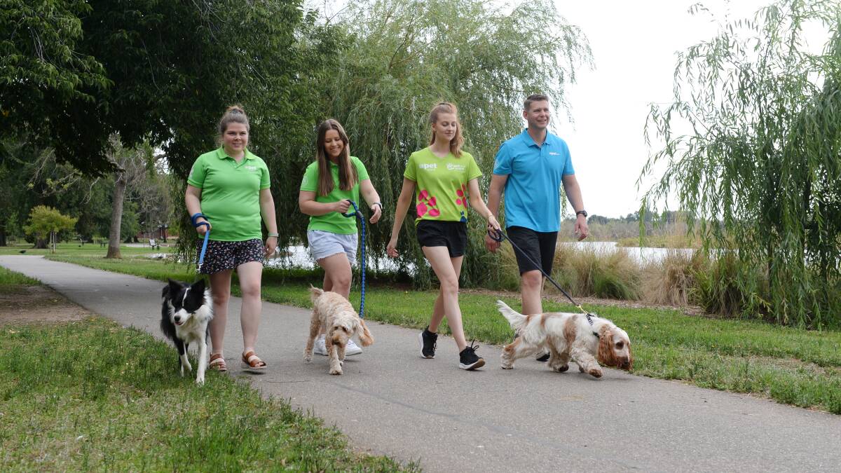 GREAT PAWTENTIAL: PETstock's Anna Gonzalez with Luna, Meg Ginnivan with Benson, Hannah Ladd with Archie and Dion Collard are ready to walk to boost homegrown cancer research. Picture: Kate Healy