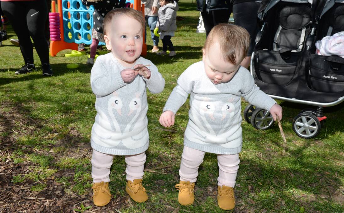 BIG STEPS: Fifteen-month-old twins Evie and Lily Harry were born seven weeks early and, after a worrying start to life, have grown into active toddlers. Picture: Kate Healy