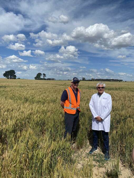 GROWING: CHS Broadbent chief operating officer Michael Broadbent shows FECRI's George Kannourakis about fields near the company's Lake Bolac storage facility.