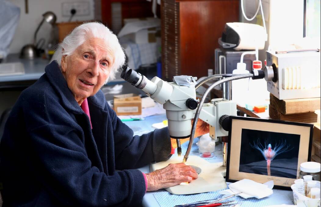 STILL LEARNING: One of Australia's leading marine biologists, Dr Jan Watson, was laughed at when she wanted to study geology in Ballarat. She still became the first female student at School of Mines. Picture: Glenn Ferguson, Geelong Advertiser
