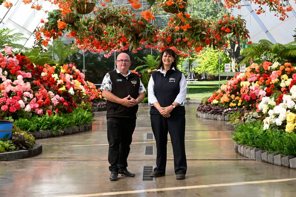 City of Ballarat mayor Des Hudson and gardens and nursery curator Donna Thomas offer a sneak peek at the begonia display in Robert Clark Conservatory. Picture by Adam Trafford