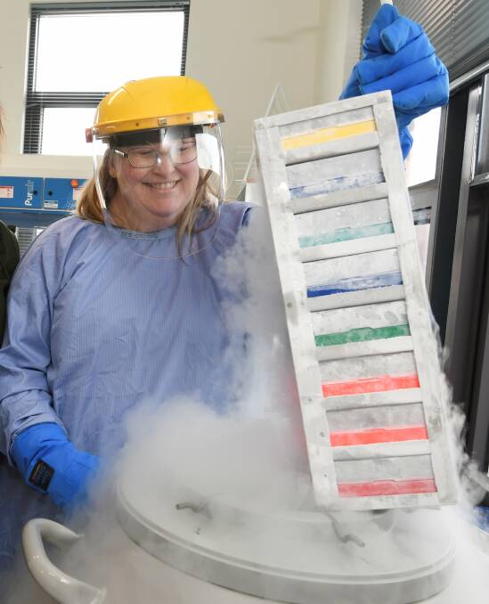 UNLOCKING ANSWERS: Fiona Elsey scientist Sharon Olsen checks in on the institute's valuable tissue bank in the Ballarat laboratory. Picture: Lachlan Bence