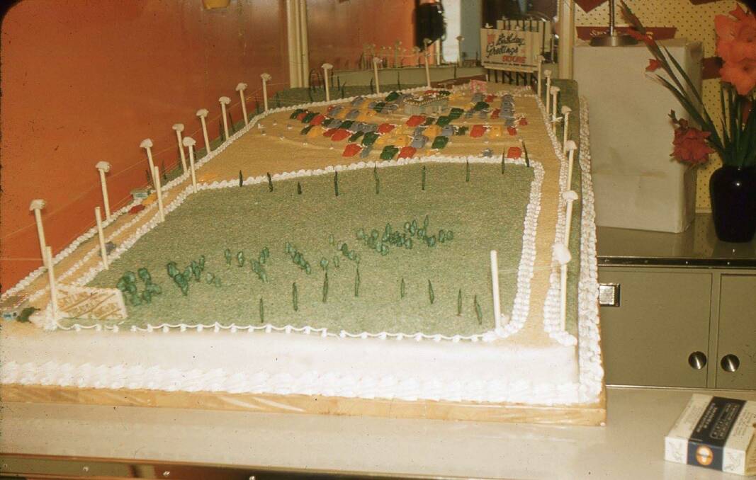 FUN: A cake version of Skyline drive-in, likely to have been made for Ballarat Begonia Festival. Picture: courtesy of Glenn McLean