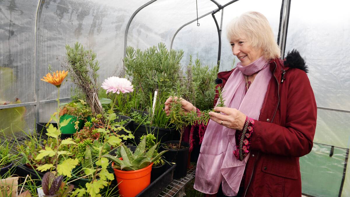 PREPARATION: Ballarat Community Garden president Sheilagh Kentish says spring is a lovely time to be in the garden, but could be a terrible time for those with asthma-like symptoms. Picture: Kate Healy