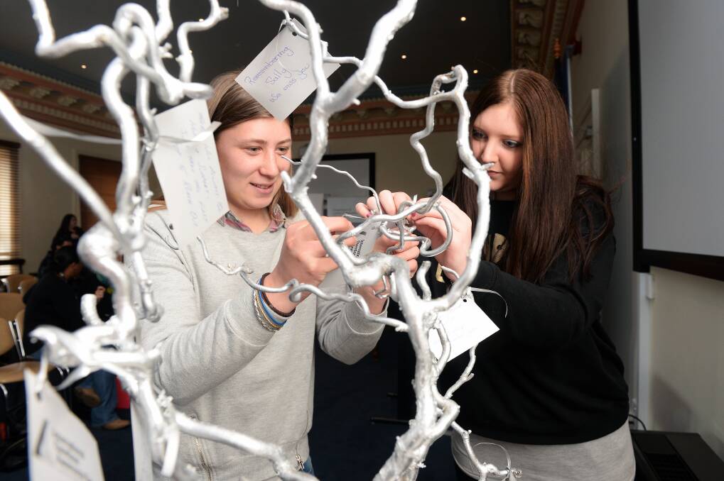 AWARE: Participants pin names on a Ballarat tribute tree of loved ones who have died or have permanent injury from prescription drug overdose in 2016. A new specialist program hopes to shed even greater light on what has long been a hidden issue. Picture: Kate Healy