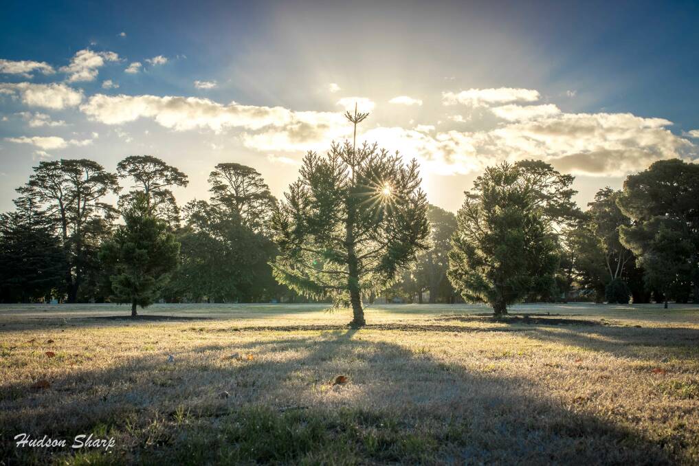 Photo showcases frosty winter flare in botanical gardens