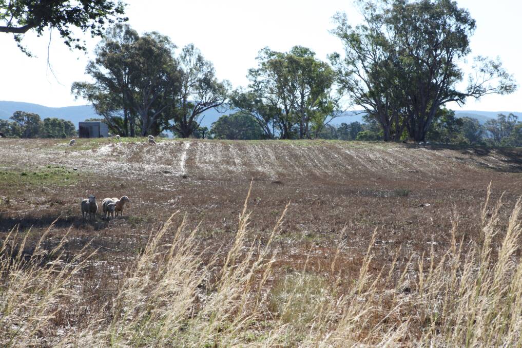 AMENDMENT: Pyrenees Shire is proposing a move in the farming rate differential for next year after a sharp rise in farm property values across the shire.
