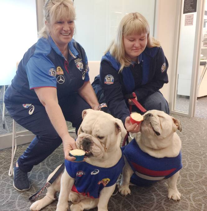 DOGGIE TREAT: Western Bulldogs' mascot Caesar and his pal Lucy, with human friends Tanya and Macy Templeton, enjoy a cupcake at Ballarat Health Services Base Hospital on Monday morning.