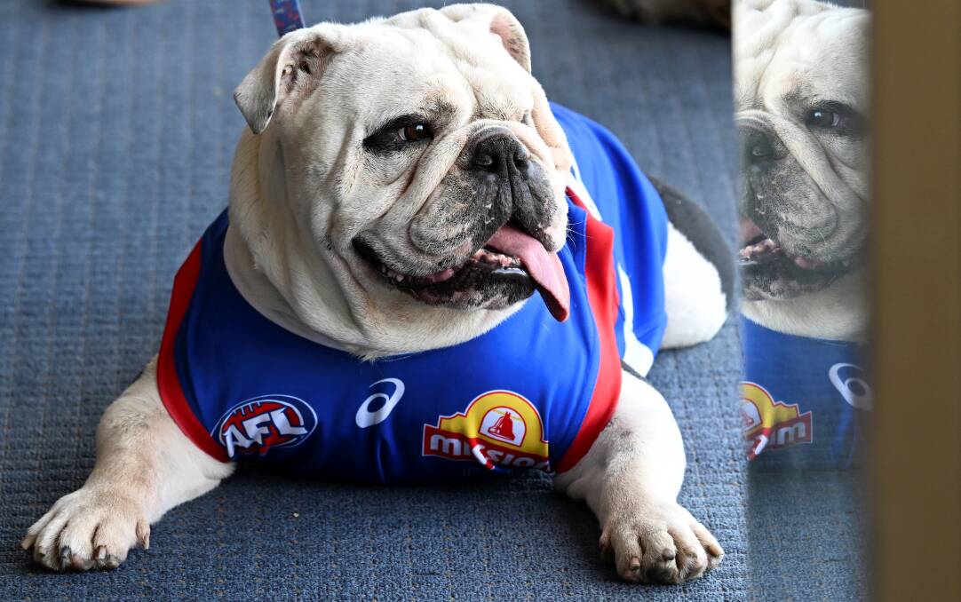 Homegrown hero Caesar is the Western Bulldogs official hero and was on hand for an Auskick super clinic with players at City Oval on February 21. Picture by Lachlan Bence
