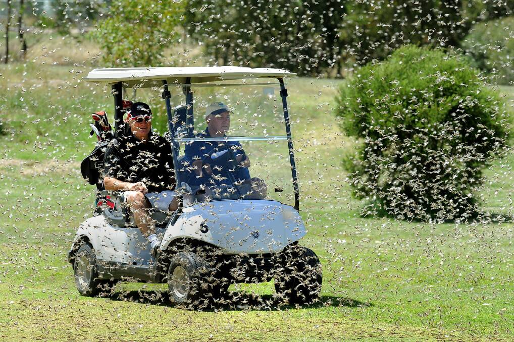 VISION: Golfers in Horsham try to navigate the greens and find the holes. Picture: The Wimmera Mail-Times