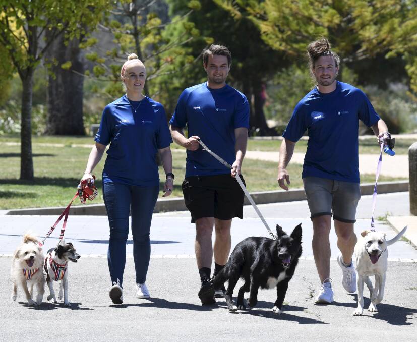 PAW-SOME: PETstock's Marsha Manoiloff with her dogs Lucy and Ritchie, Adam Stevens with Cleo and Thomas Azarnikow with Lou Lou call on people and pets to get walking in Ballarat Cycle Classic. Picture: Lachlan Bence