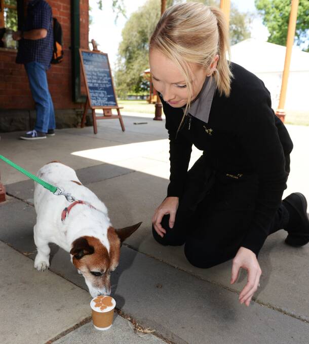 PAMPER: Bubbles has his first taste of a puppuccino, waited on by Pipers by the Lake manager Tammy Squires, between taste-testing other doggie treats. Picture: Kate Healy