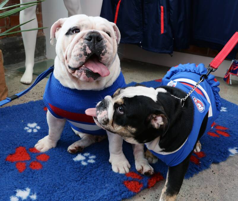 Western Bulldogs' mascots Caesar and Whitteny. Picture: Kate Healy