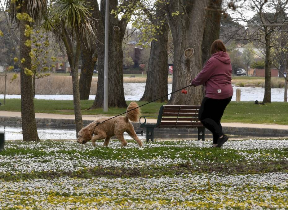 SNIFF: Health experts call to be aware in windy conditions. Picture: Lachlan Bence