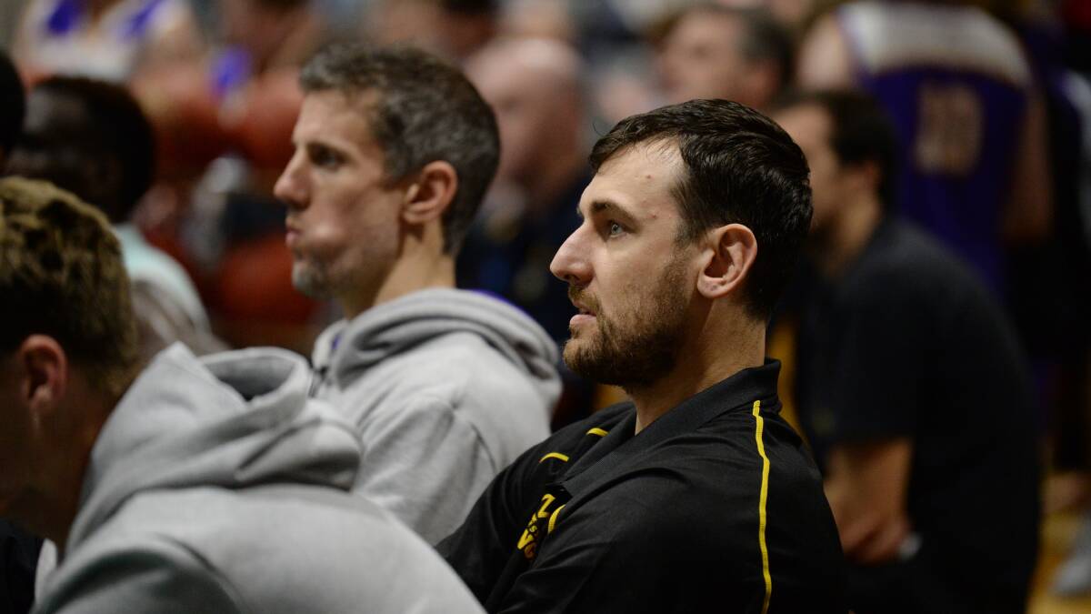 Biggest name in Australian basketball and Sydney Kings recruit Andrew Bogut at the Minerdome for NBL blitz. Picture: Kate Healy