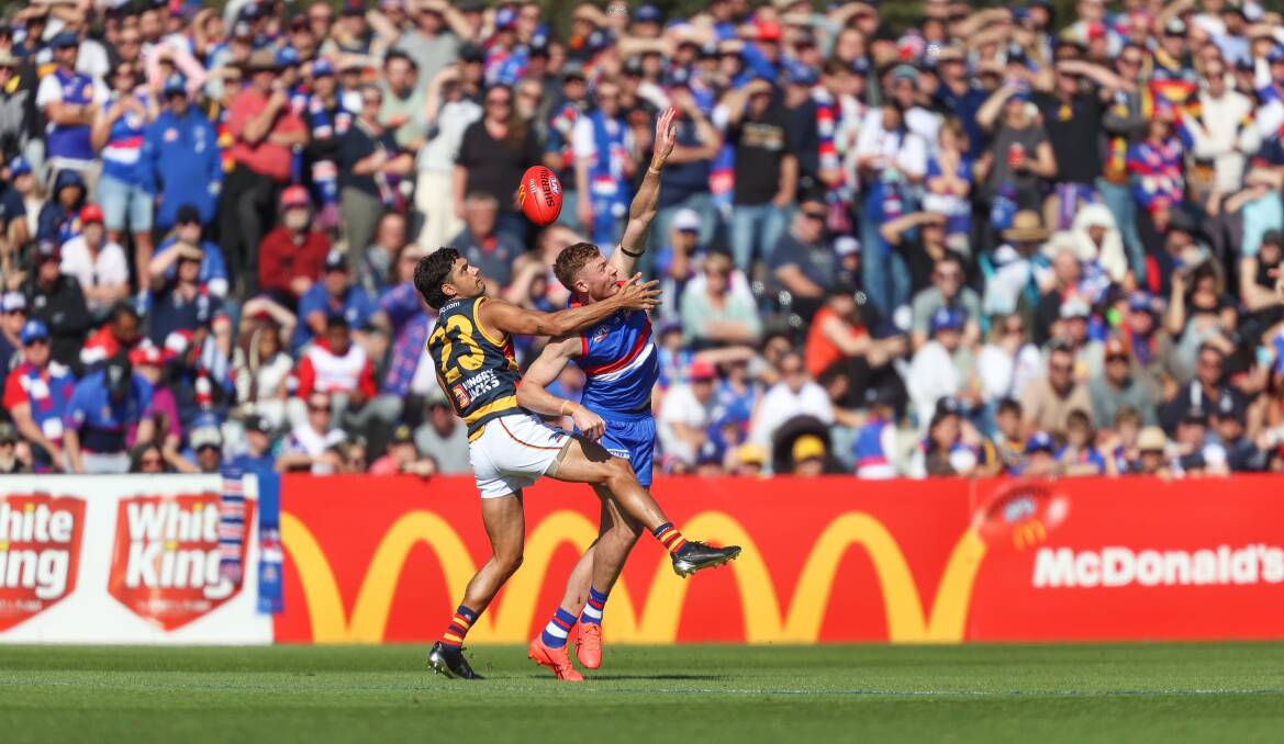 BUMPER SHOW: Adelaide's Shane McAdam and Western Bulldogs's Tim O'Brien tussle before a record crowd at Mars Stadium on Saturday. Picture: Luke Hemer