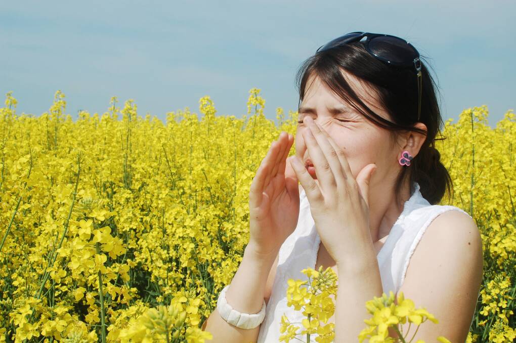 Uh, oh - what do I do for hay fever in pandemic times in Ballarat?
