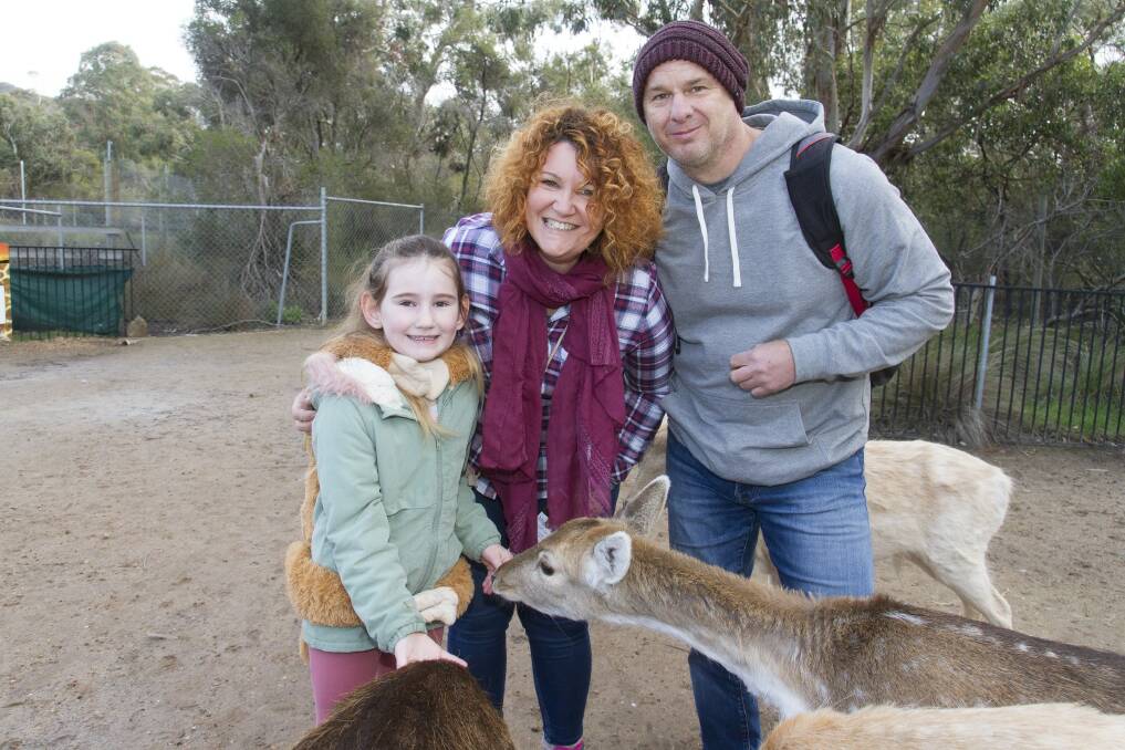 FUN: A chance to get up close to animals at Halls Gap Zoo. Picture: Peter Pickering