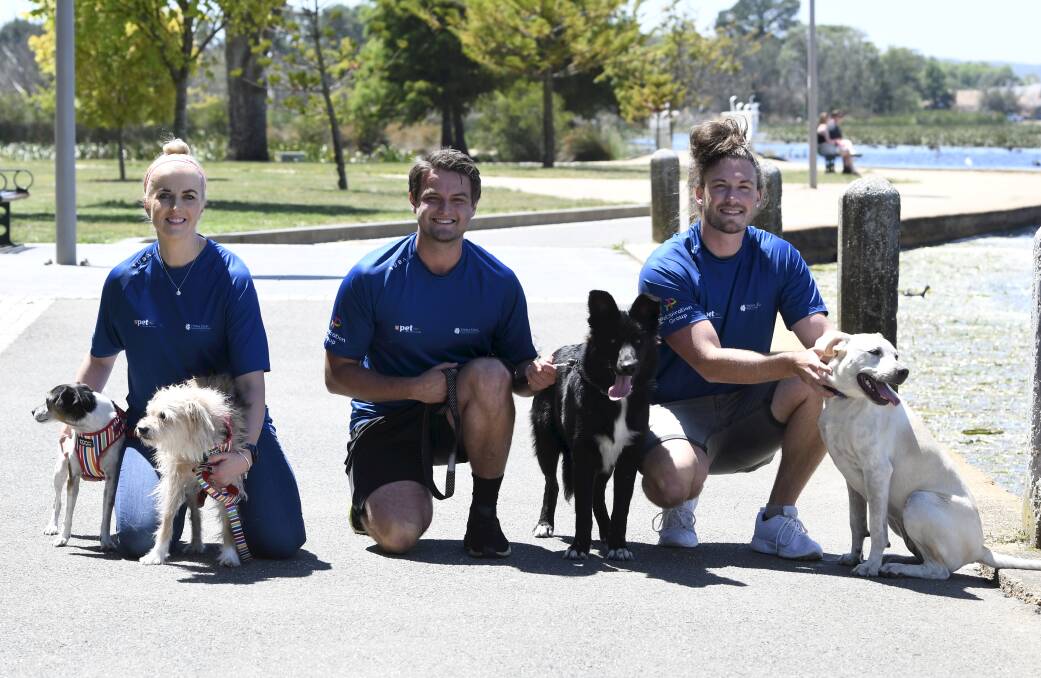 PAW-SOME: PETstock's Marsha Manoiloff with her dogs Ritchie and Lucy, Adam Stevens with Cleo and Thomas Azarnikow with Lou Lou call on people and pets to get walking in Ballarat Cycle Classic. Picture: Lachlan Bence