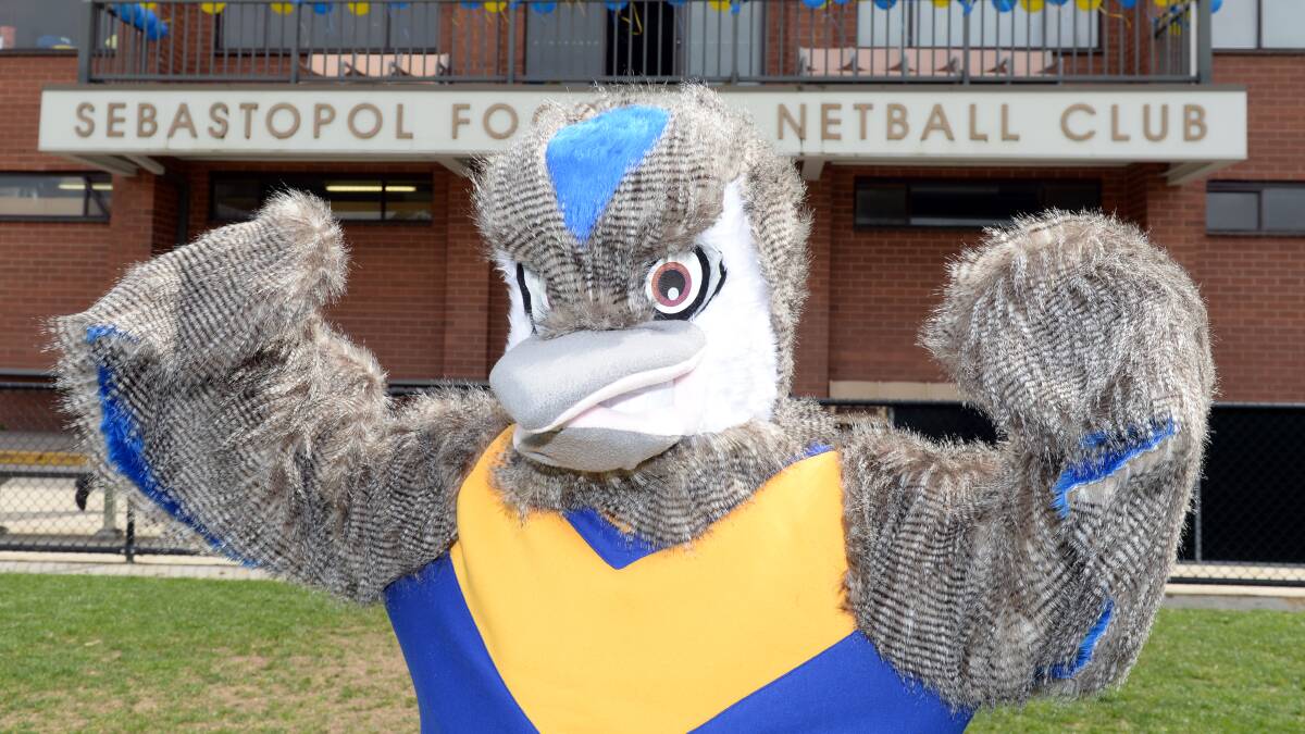LAUGHING: Kooka, Sebastopol's new mascot, steps out at Marty Busch on Friday ahead of a club debut at Mars Stadium for grand final day. Pictures: Kate Healy