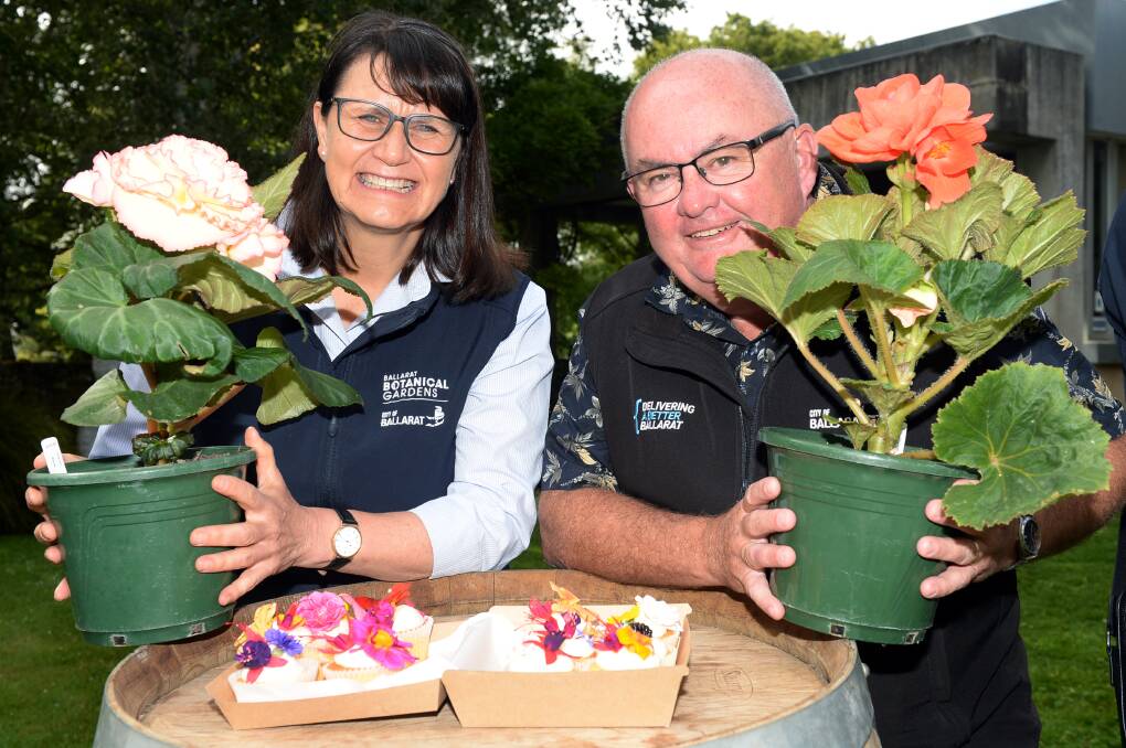 City of Ballarat gardens and nursery curator Donna Thomas and mayor Des Hudson check in on the begonias as they get ready to go on show. Picture by Kate Healy
