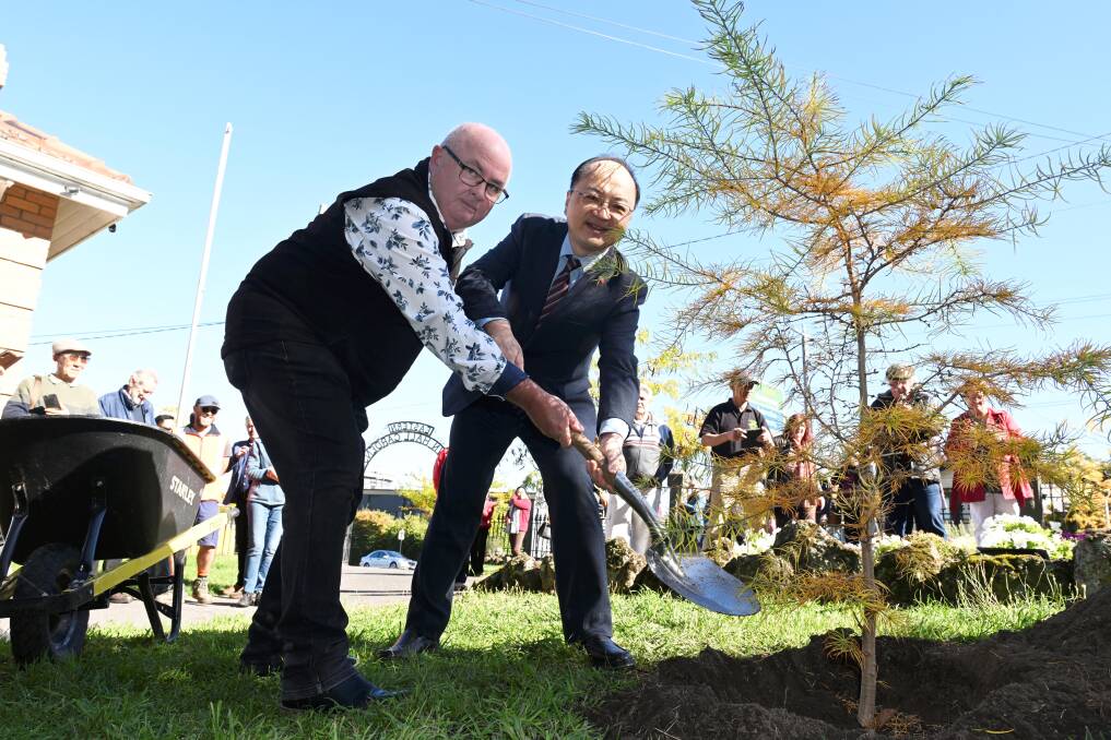 City of Ballarat mayor Des Hudson and Chinese Consul-General Xinwen Fang together help plan rare Chinese native golden larch trees to help grow recognition and appreciation for the city's Chinese heritage. The trees were planted in Ballarat east Town Hall Gardens on April 20, 2024. Picture by Lachlan Bence