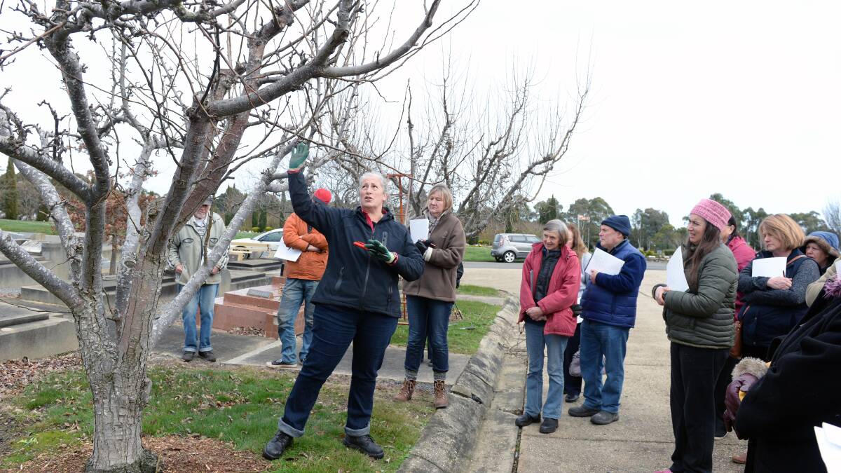 Gravely going out on a limb to entice people into Ballarat cemetery