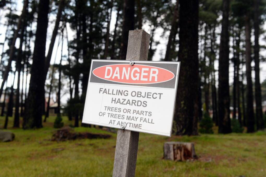 A sign near the trees in Binneys Reserve, Black Hill. Picture: Kate Healy