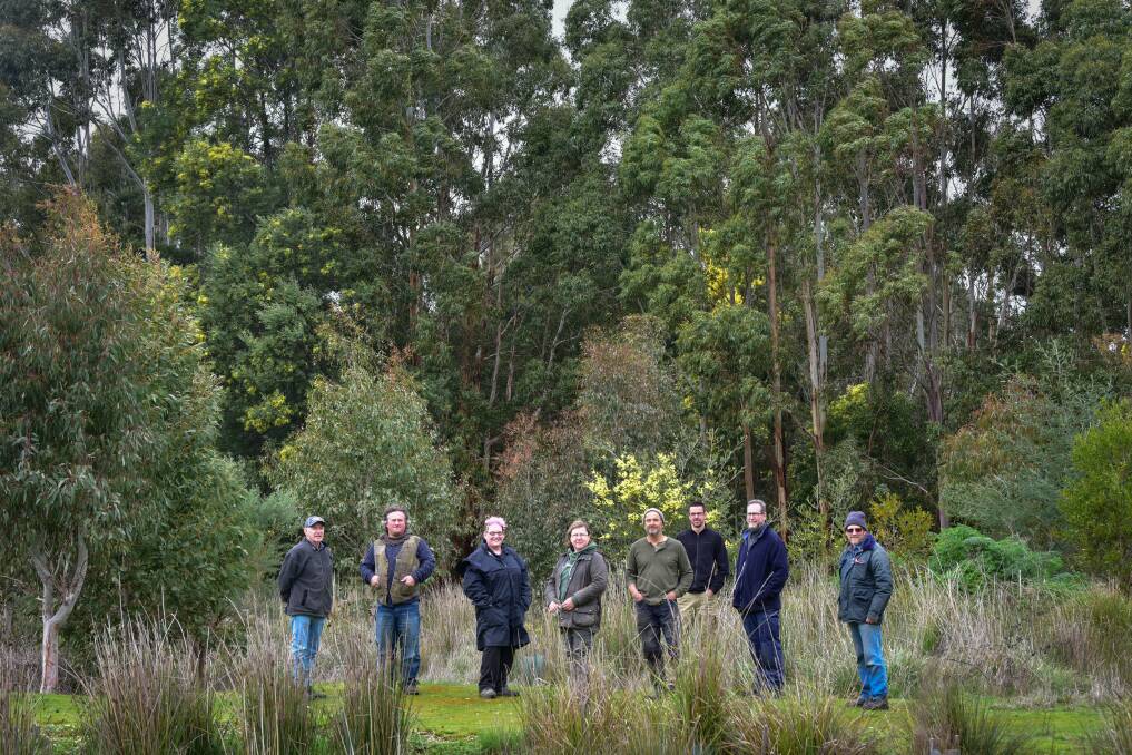 Growth: The Napoleons-Enfield Landcare Group, with Barry Gilson, at the Scotchmans Lead Reserve. Pictures: Brendan McCarthy