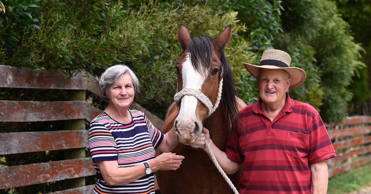 Vale: Bill Rinaldi OAM and his wife Marie with one of their horses in January. Picture: Adam Trafford