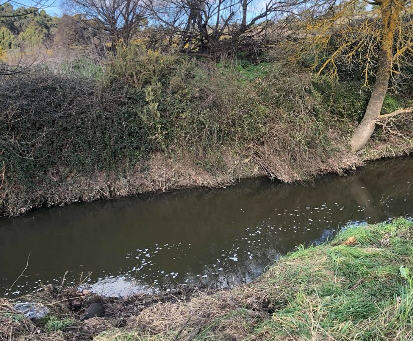 The Yarrowee near Docwra Street - with rubbish and logs removed. Picture: contributed