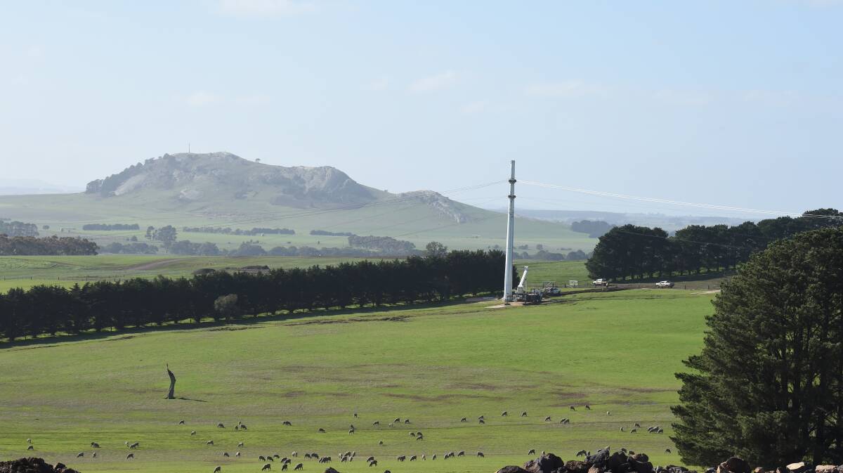Sheep graze in a paddock as power lines are built, with Mount Emu in the background.