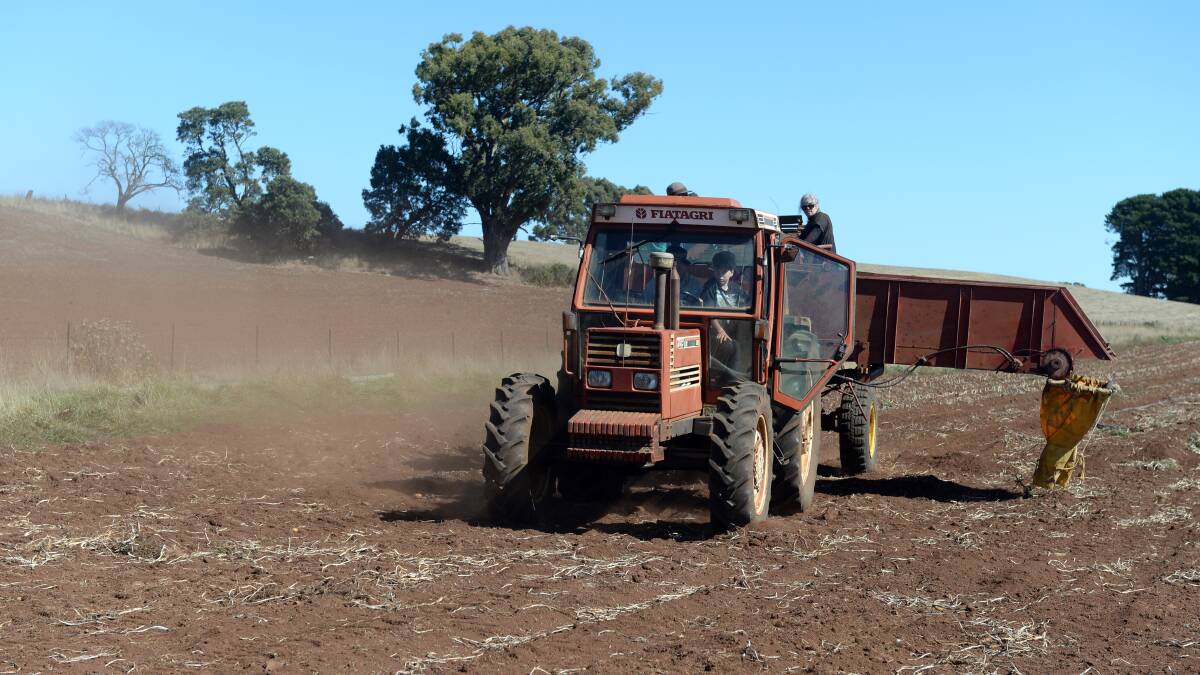 Shop local: Potatoes are a key agricultural sector around Ballarat. Picture: Kate Healy