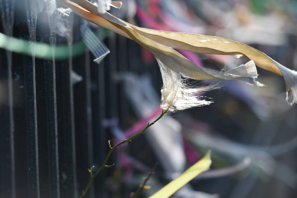 Ribbons on the fence at Ballarat's St Patrick's Cathedral represent children abused by clergy. File photo.