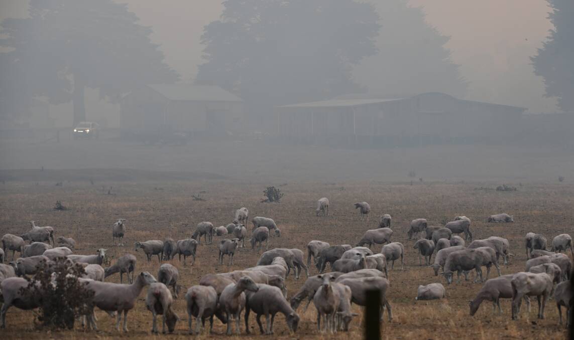 Smoke blankets a farm in Dereel as a bushfire rages behind it. Picture by Kate Healy